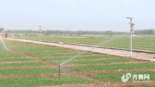 德州 田园大脑 实现智慧 精准灌溉 推动现代农业高效发展